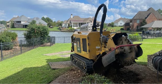 Images Heritage Tree Services