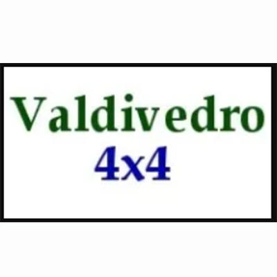 Auto Valdivedro 4x4 Logo