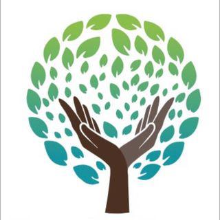 Family Tree Chiropractic & Wellness Logo