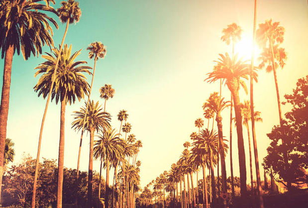 Images Land & Sea International Realty