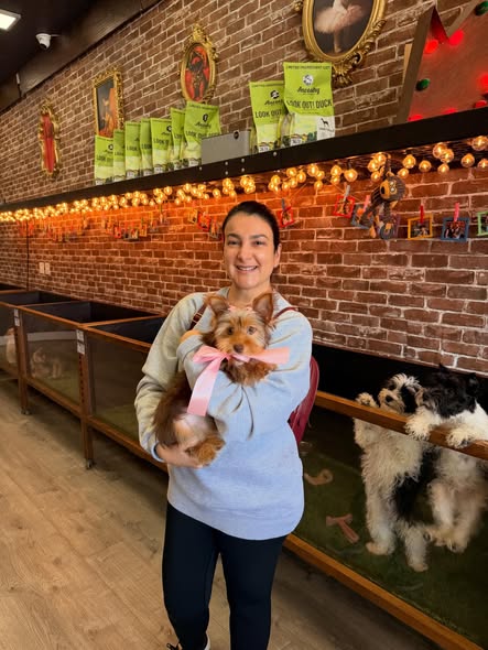 Puppies Direct Image