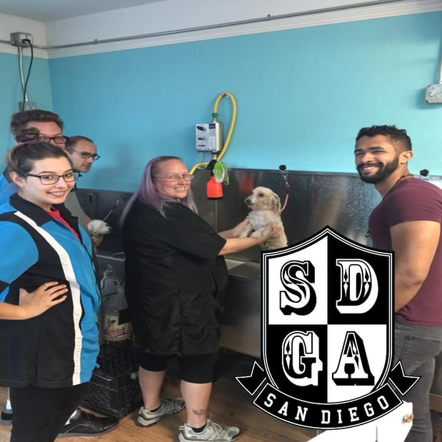 Images San Diego Grooming Academy