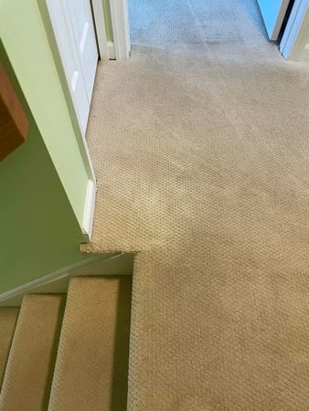 Images The Carpet Repair Guy