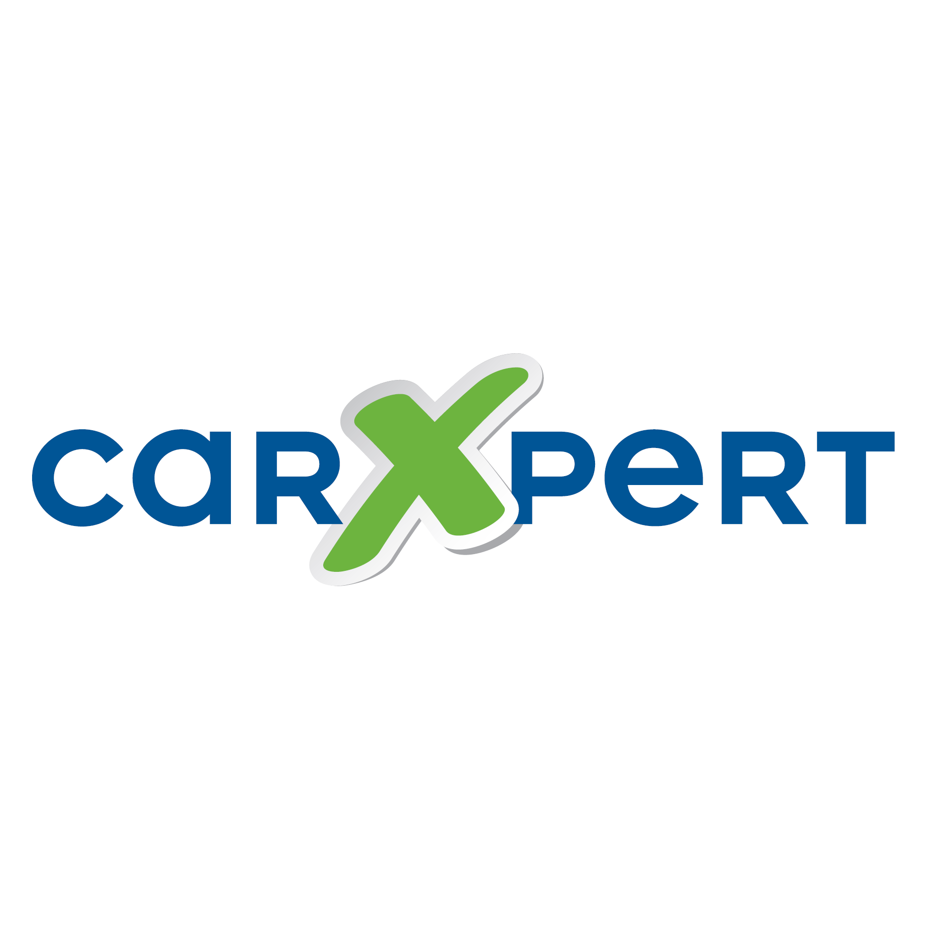 Daniel Schmid AG - carXpert Garage Logo