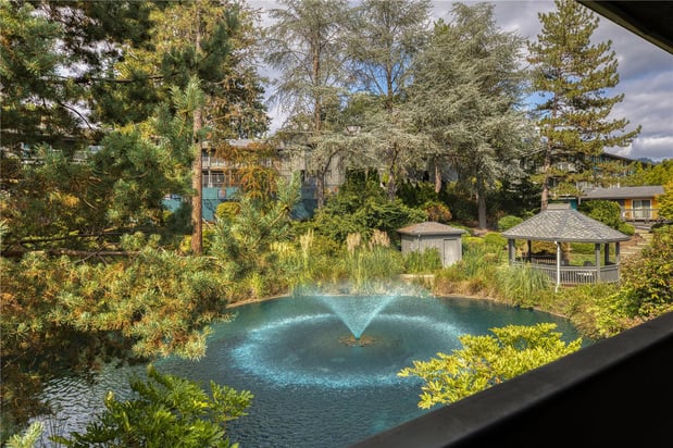 Images Best Western Portland West Beaverton