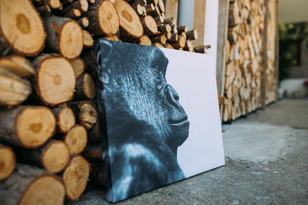 GORILLA IMMOBILIEN GmbH, Straßmühlweg 8 in Henndorf am Wallersee