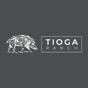 Tioga Boar Hunting
