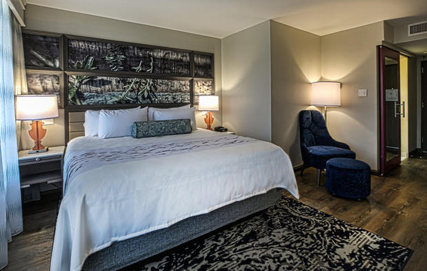 Images Hotel Indigo Birmingham Five Points S - Uab by IHG