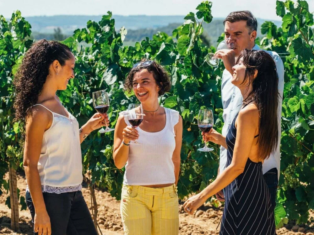 Temecula Wine Tour Premier