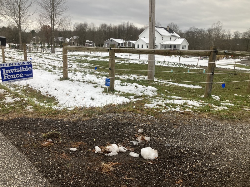 Invisible Fence® freshly installed to protect pets in Erie County, Ohio