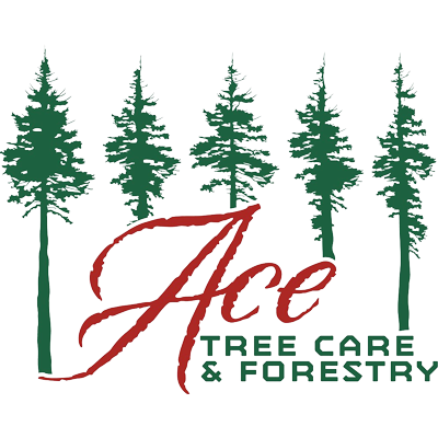 Ace Tree Care and Forestry Logo