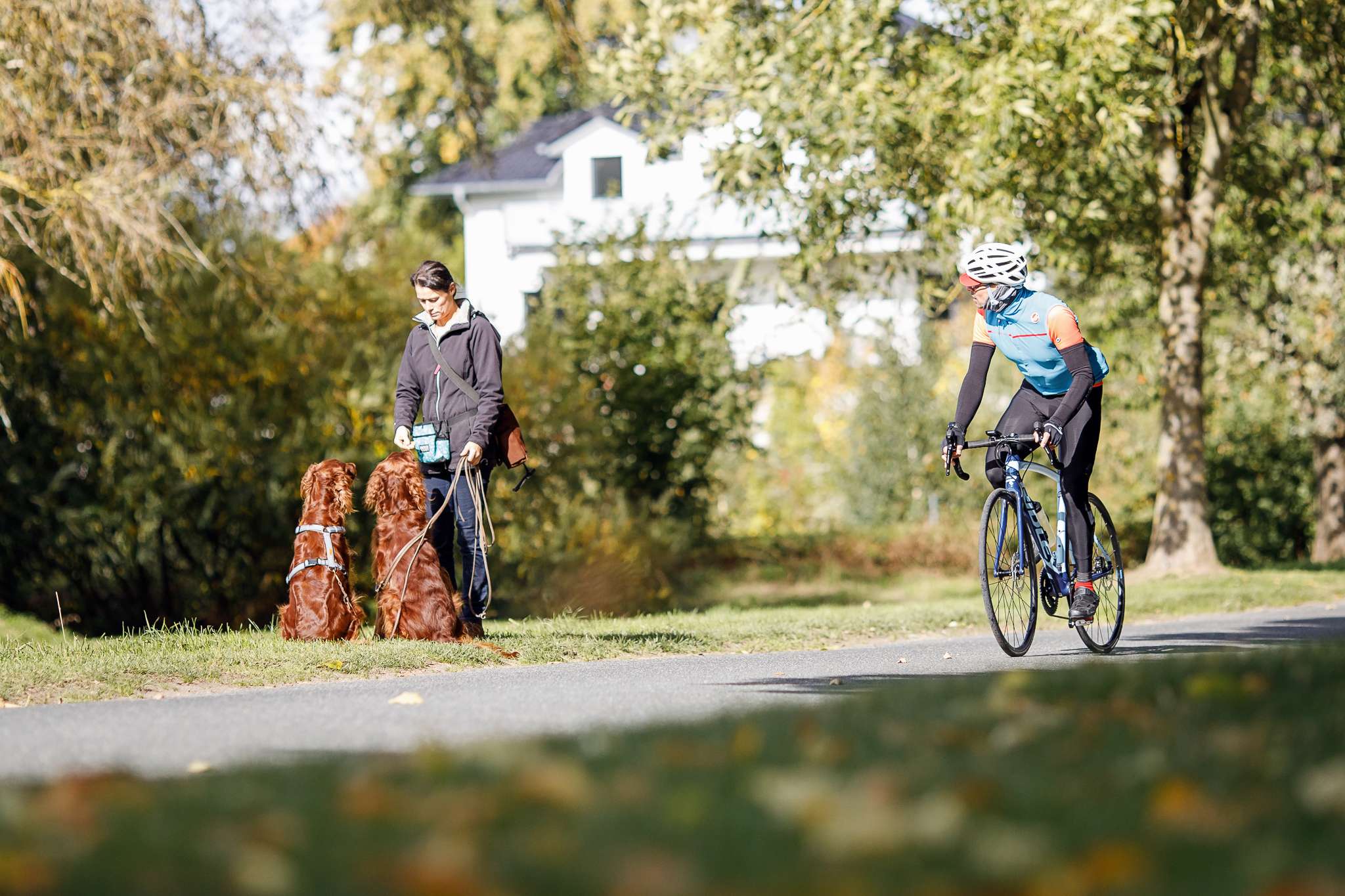 Hundeschule DogGeeks® TonCane: Online & Mobil, Voßbarg 23 in Seevetal