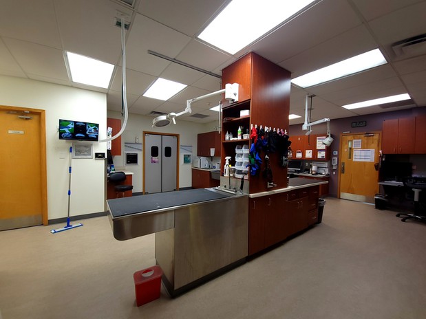 Images VCA Lantern Road Animal Hospital