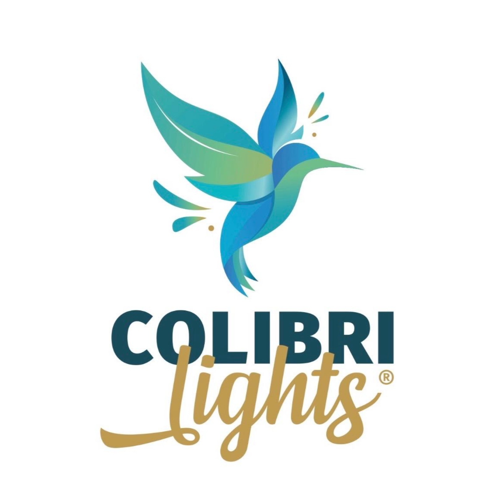 Colibri Lights GmbH in Berlin - Logo