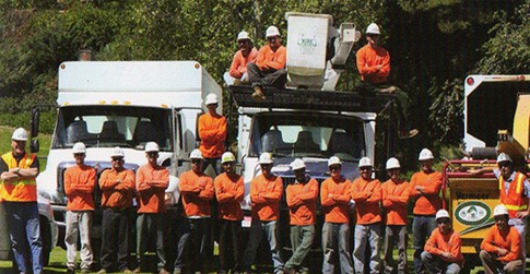 Images Newbury Park Tree Service