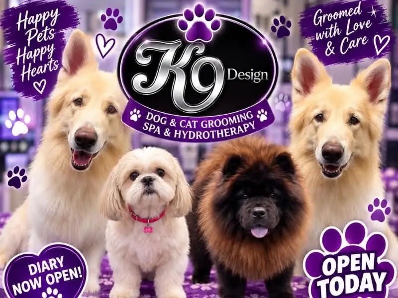 K9 Design Dog & Cat Grooming