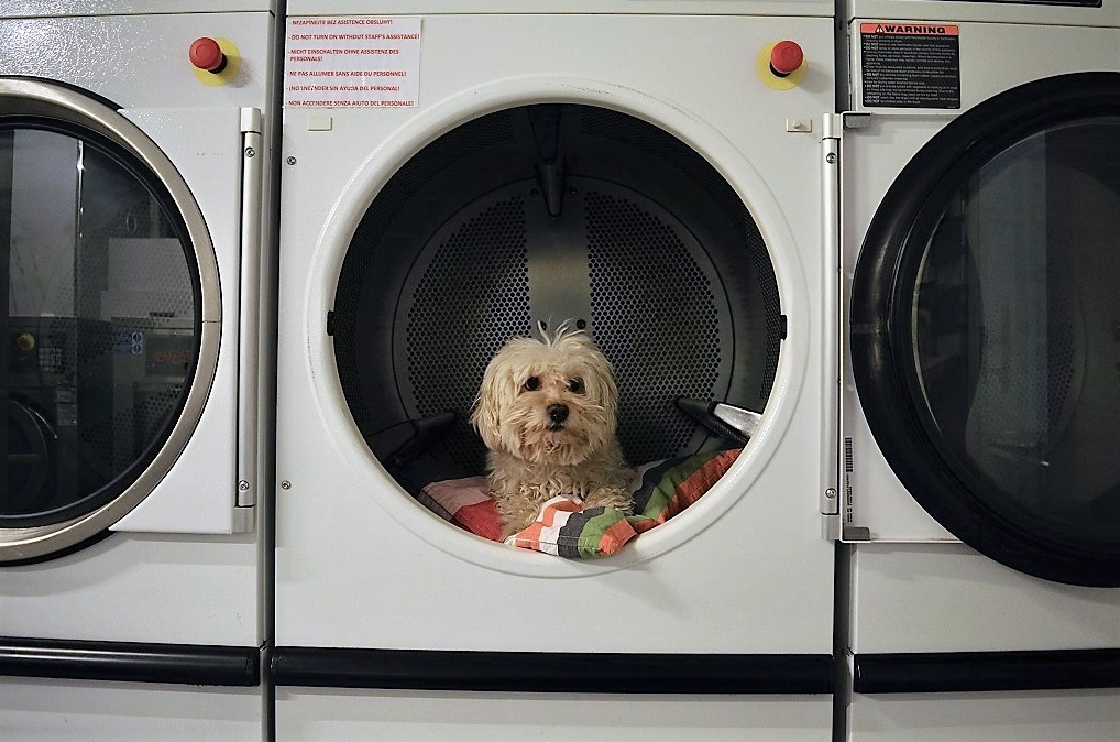 Prague Andy's Laundromat