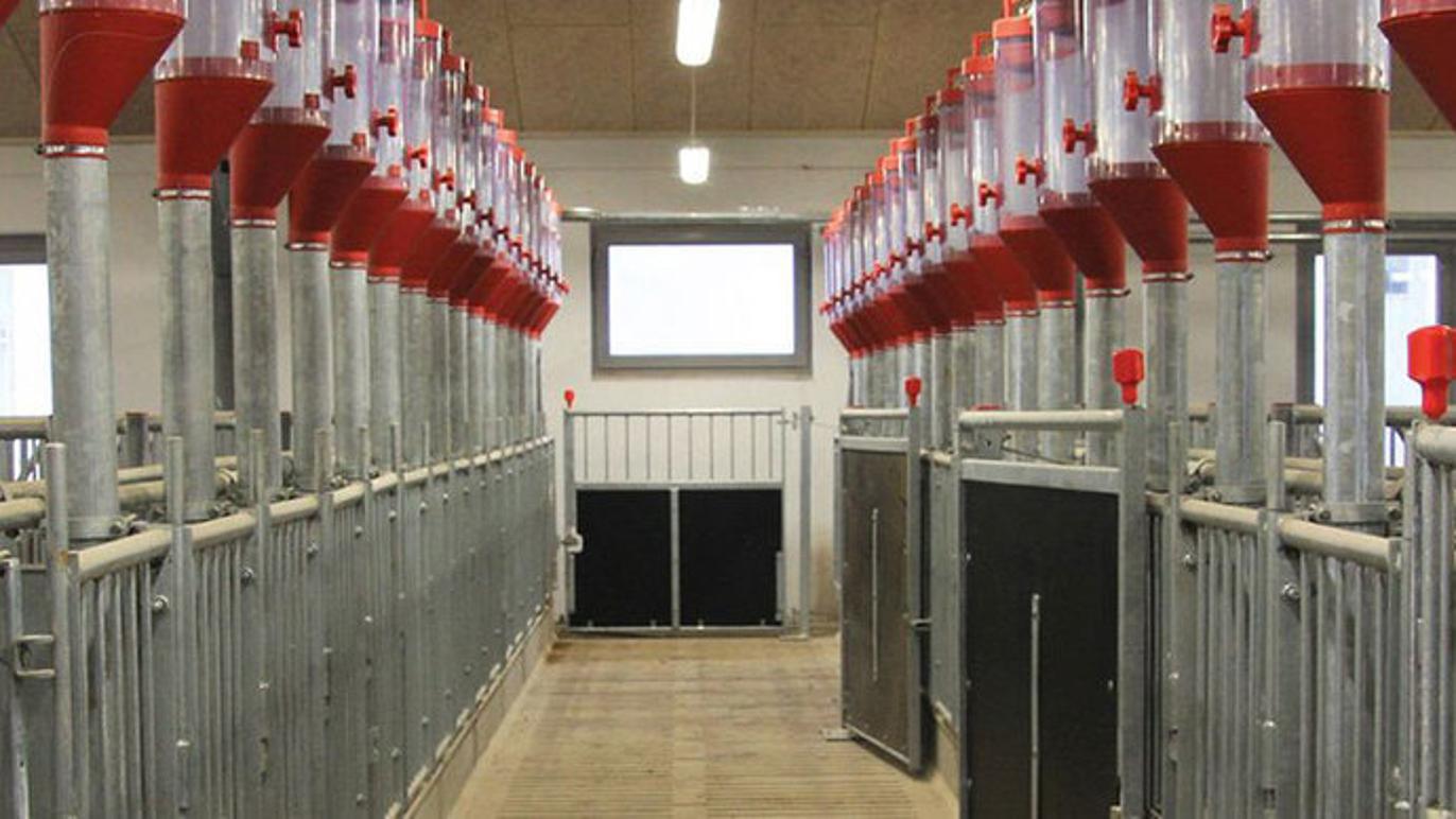 Images Vanggaard Staldmontage ApS