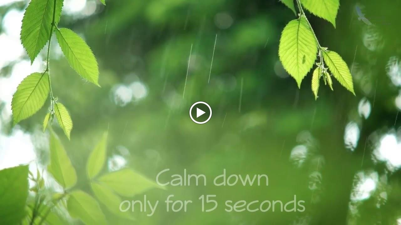 Bild 2 Marketingagentur Wahl UG (haftungsbeschränkt) in Rosenheim