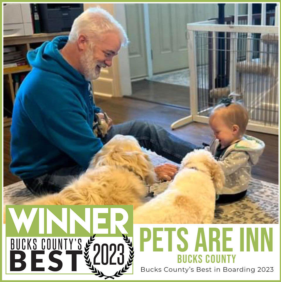 We are honored and grateful to YOU all for voting us 2023 Bucks County's BEST Pet Boarding. Receiving this honor could not be possible without all of YOU! Your fur babies are the BEST! We love them all. We are incredibly blessed to do what we do. We have amazing host families that welcome your babies into their home and love them like their own. From all of us at Pets Are Inn, thank you for being part of our fur family! Here's to another year full of belly rubs, couch snuggles, and sloppy kisses! Hope to see you soon. Winner: Boarding Finalist: Pet Sitting
