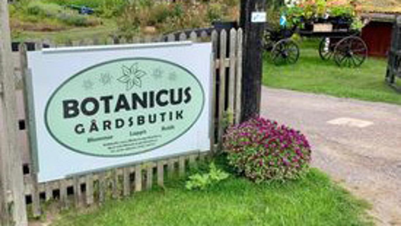 Images Botanicus Gårdsbutik AB - Handelsträdgård Östergötland