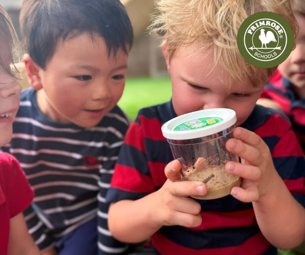 Images Primrose School of Bent Trail