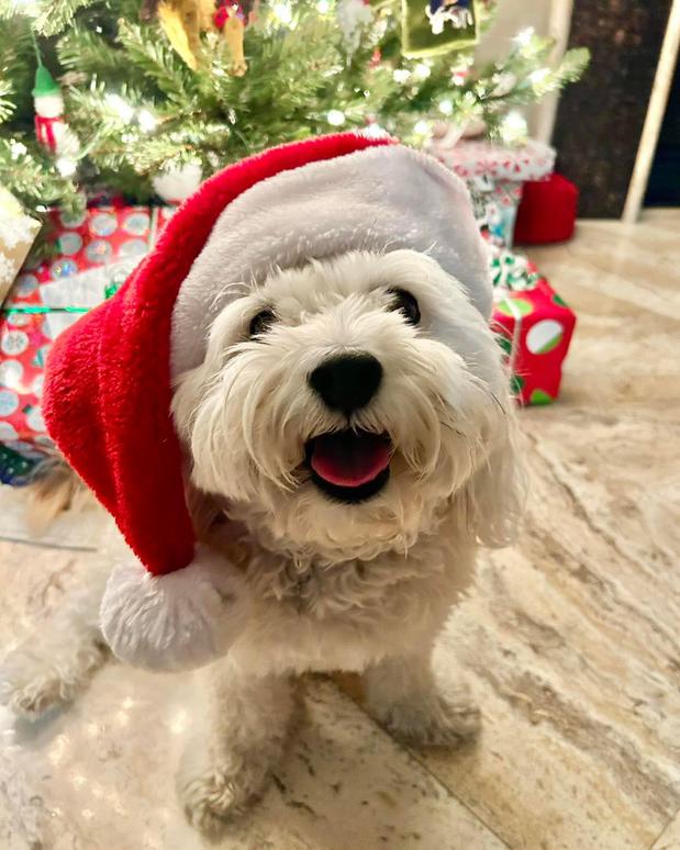 Images Craig Martin - State Farm Insurance Agent