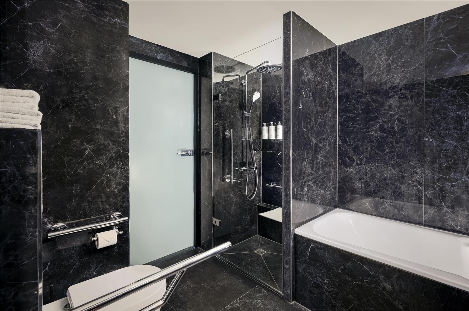 Standard King Room Accessible Bathroom