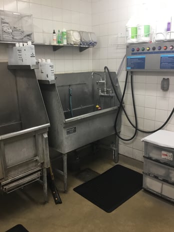 Images Petco Grooming