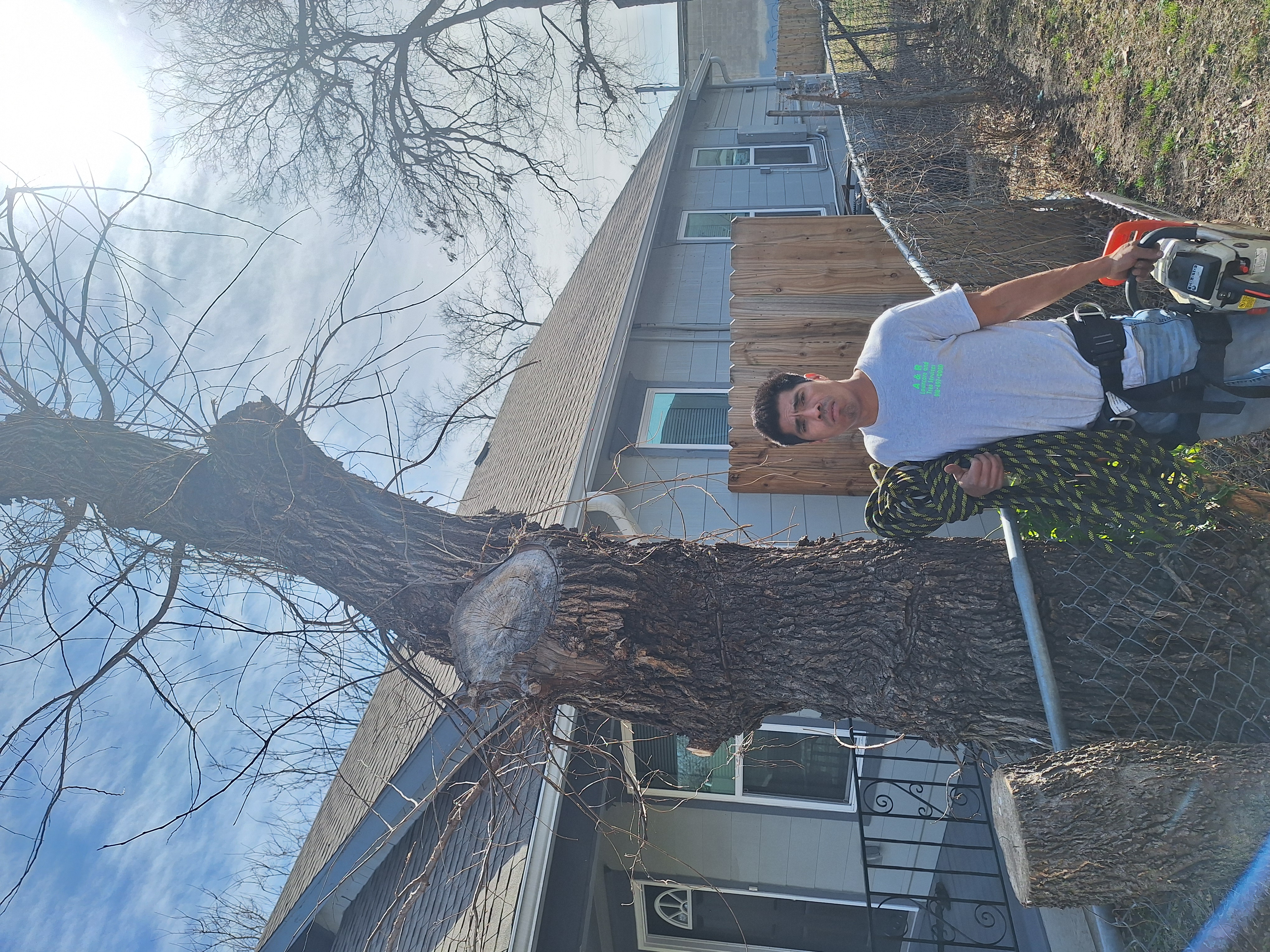 AR Lawn Care and Tree Service Logo