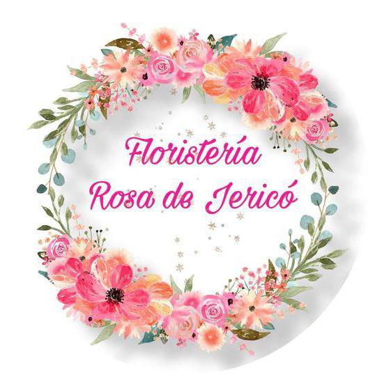 Floristería Rosa de Jericó Madrid