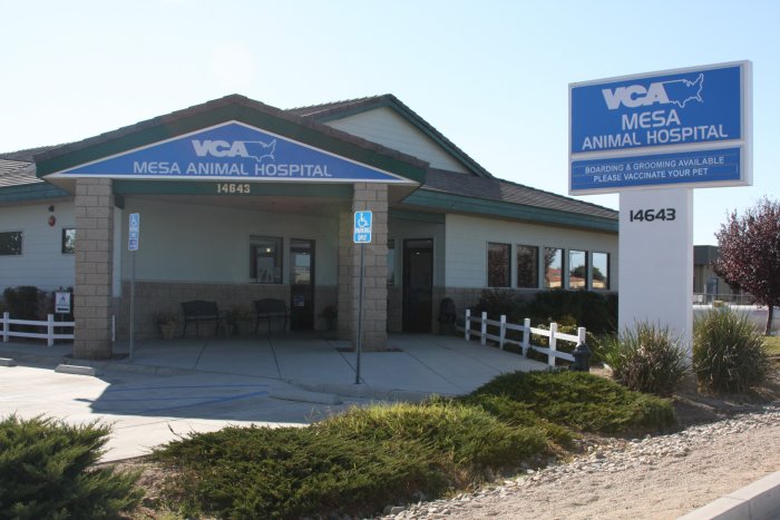 Images VCA Mesa Animal Hospital
