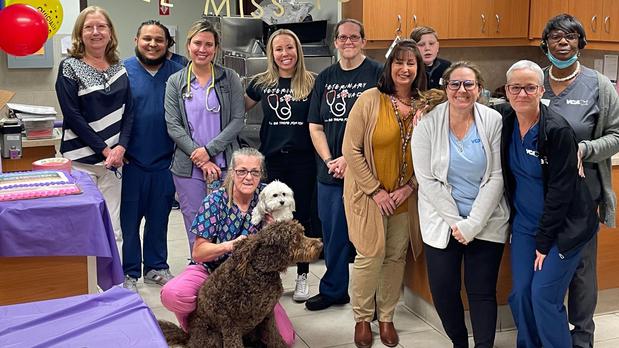 Images VCA Hollywood Animal Hospital