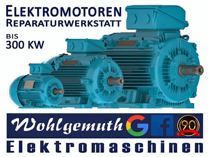 Wohlgemuth Elektromaschinen in Velbert - Logo