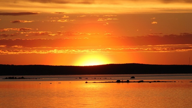 Images Guldhaven Pelagiska AB