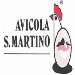 Avicola San Martino sas Logo