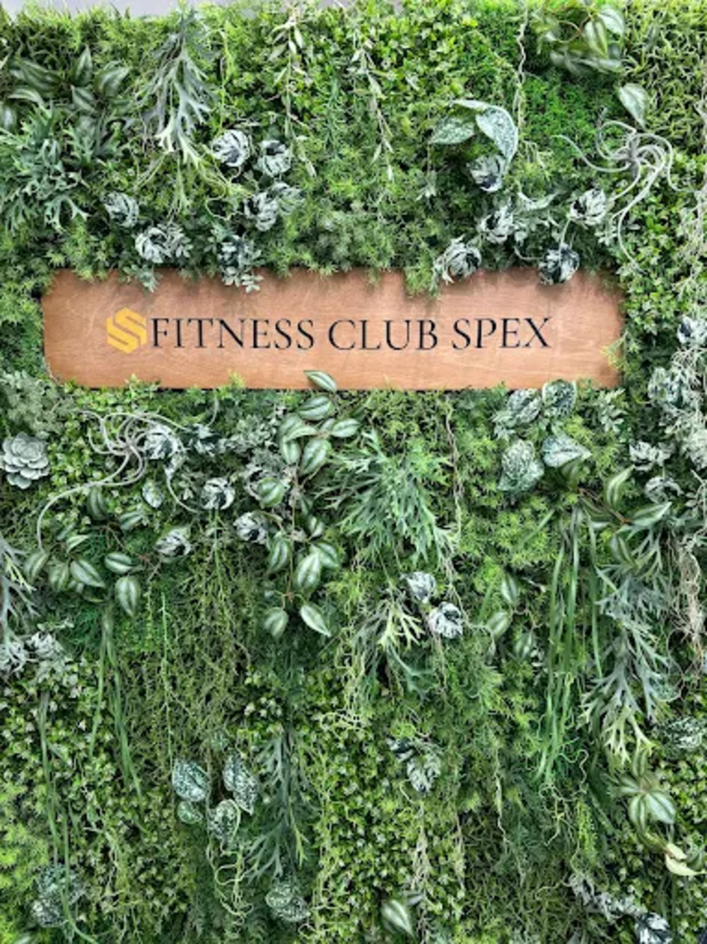 Images パーソナルジムSPEX 三軒茶屋店