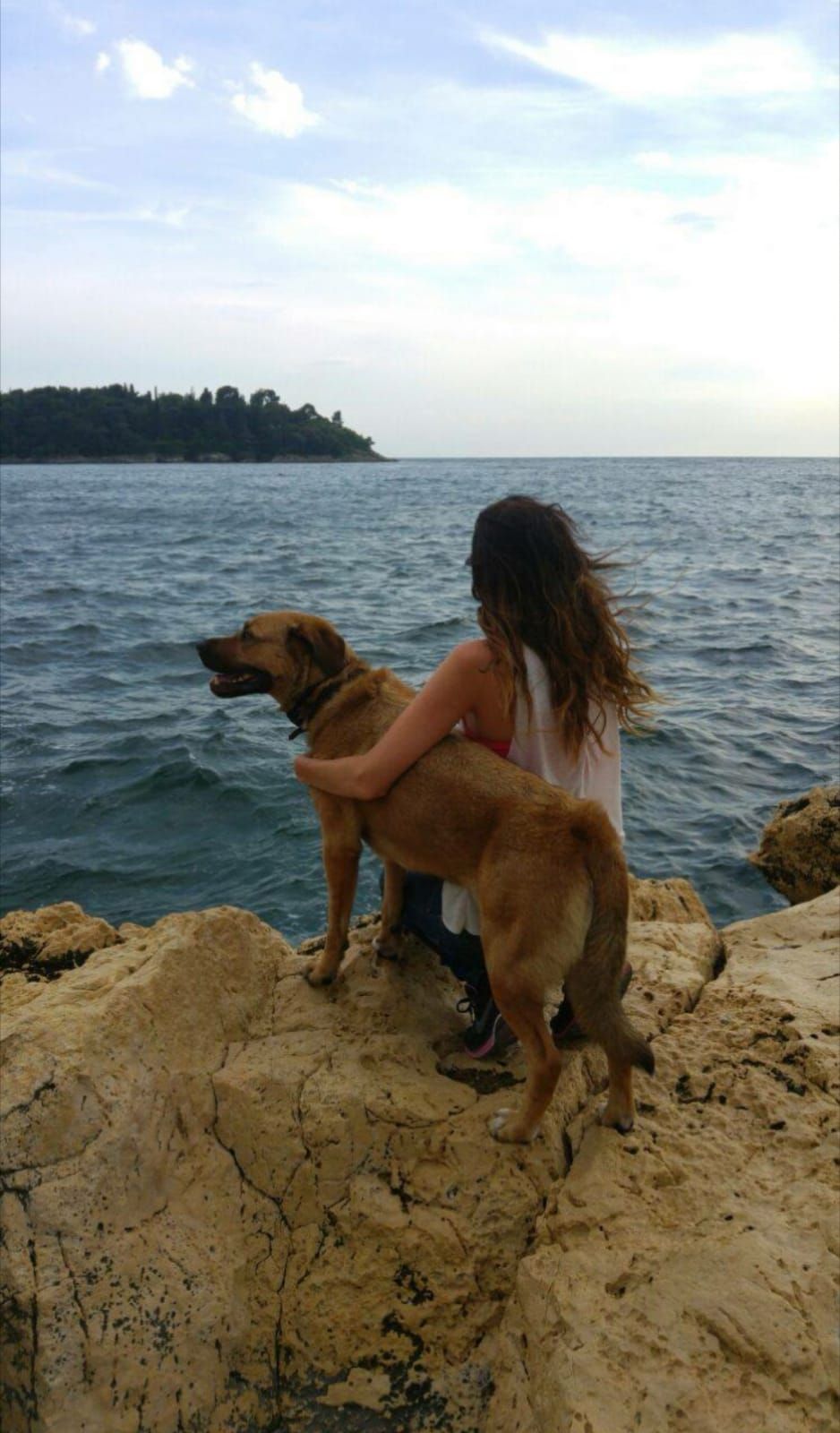 PAWtner Hundetraining Sabrina Rösch, Am Tiefenbach 10 in Ilsfeld