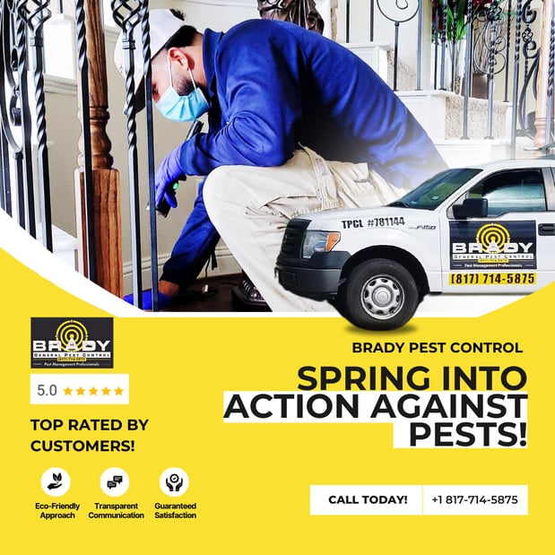 Images Brady Pest Control
