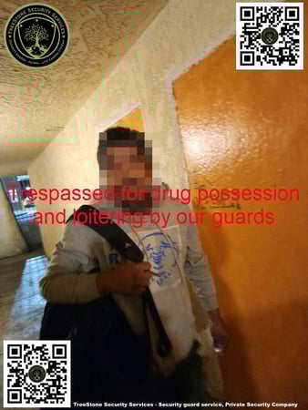 Images TreeStone Security Services