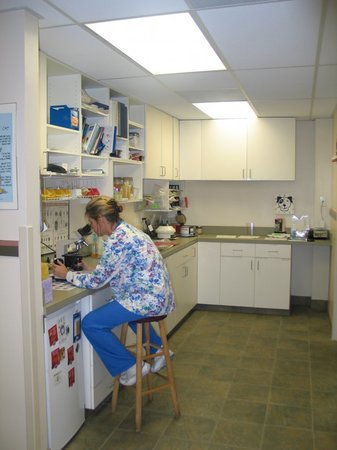 Images VCA Village Animal Hospital
