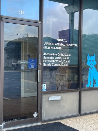 Images VCA Arbor Animal Hospital