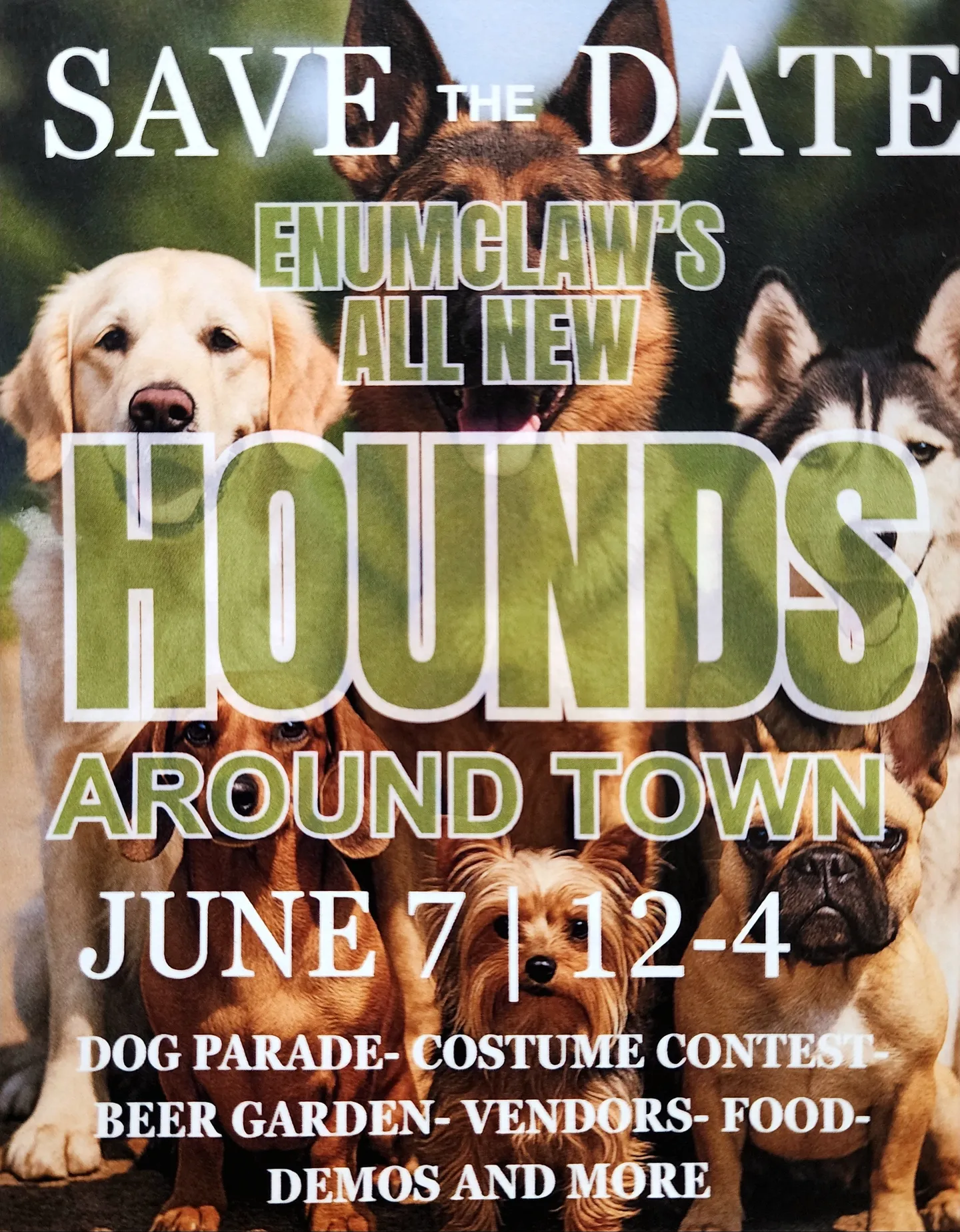 Image of Local Pet Event Hounds Around Town Nearby