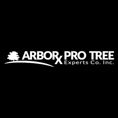 Arbor Pro Tree Experts Co. Inc. Logo