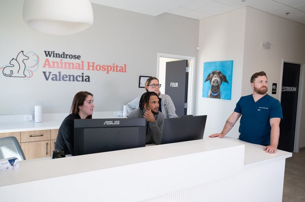 Images Windrose Animal Hospital Valencia