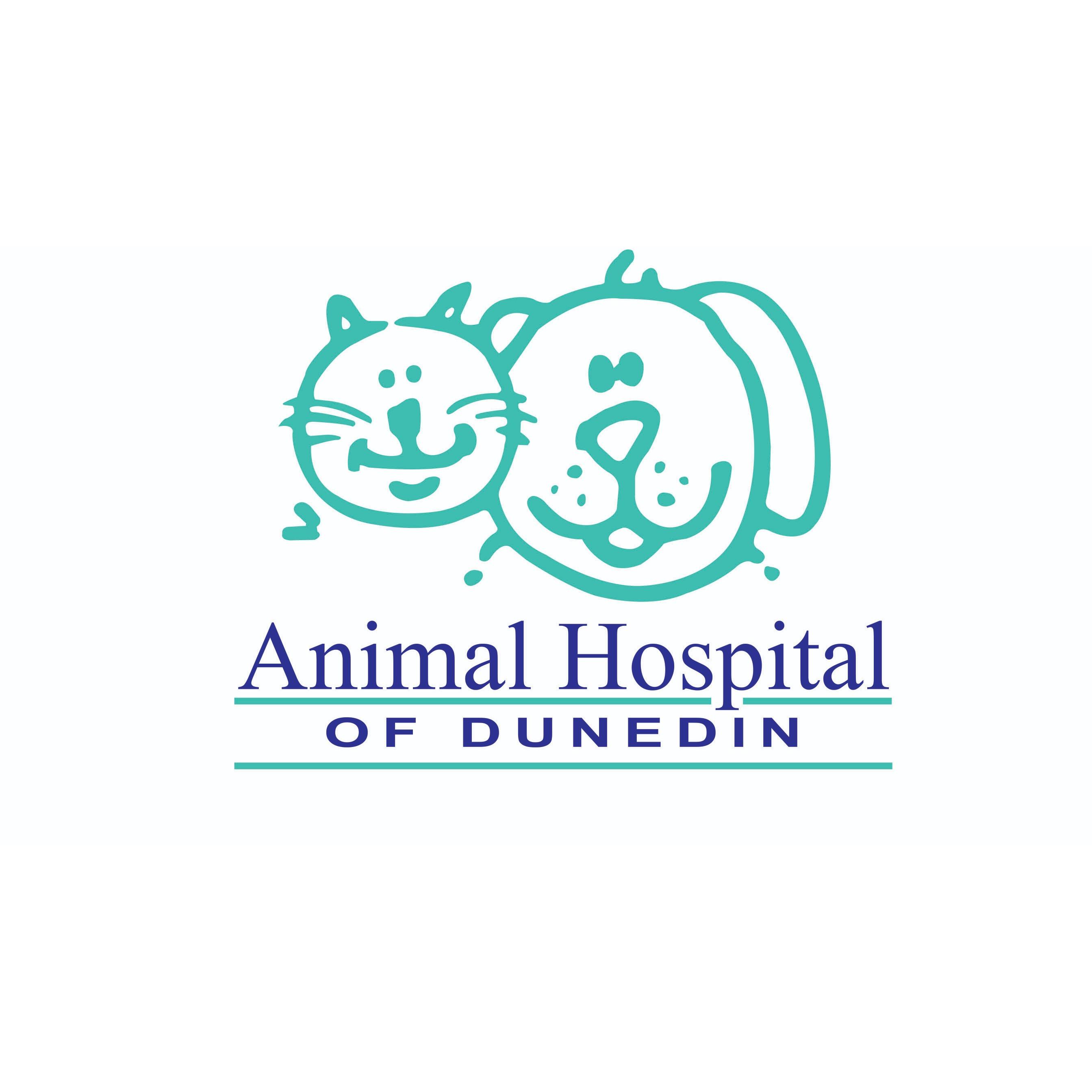 Animal Hospital of Dunedin Logo