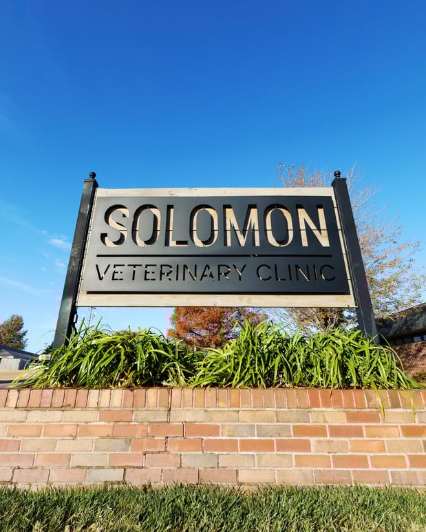 Images Solomon Veterinary Clinic