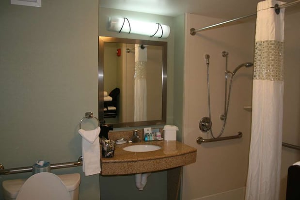 Images Hampton Inn & Suites Detroit-Canton