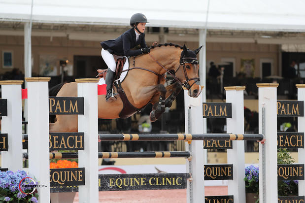 Images Palm Beach Equine Clinic