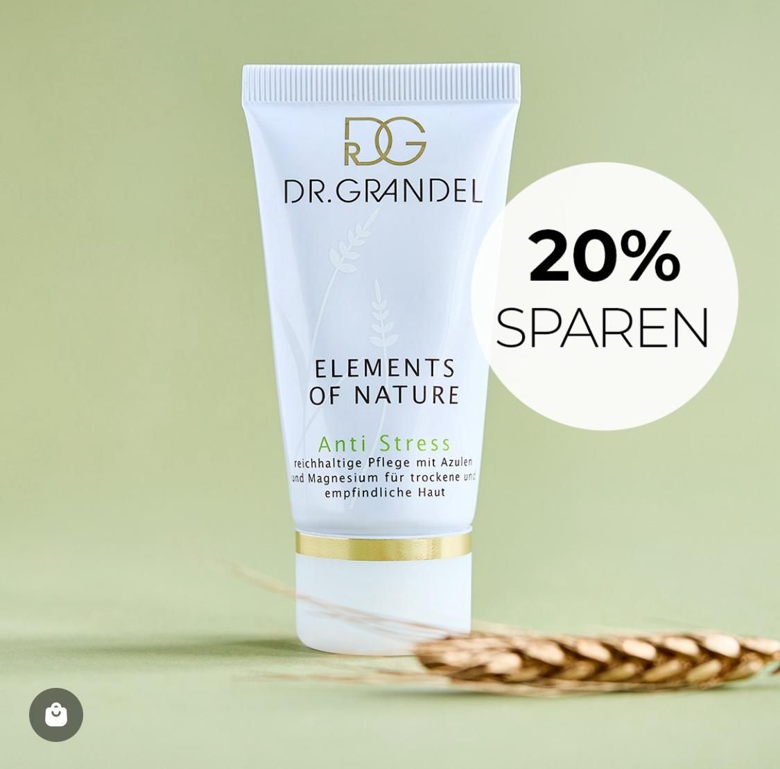 Kosmetikmeisterinstitut S.Matzk, Bergmannstr. 6 in Dresden